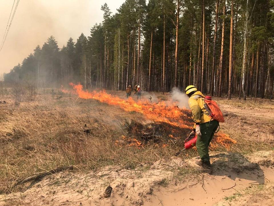 Масштабный лесной пожар в Португалии локализован