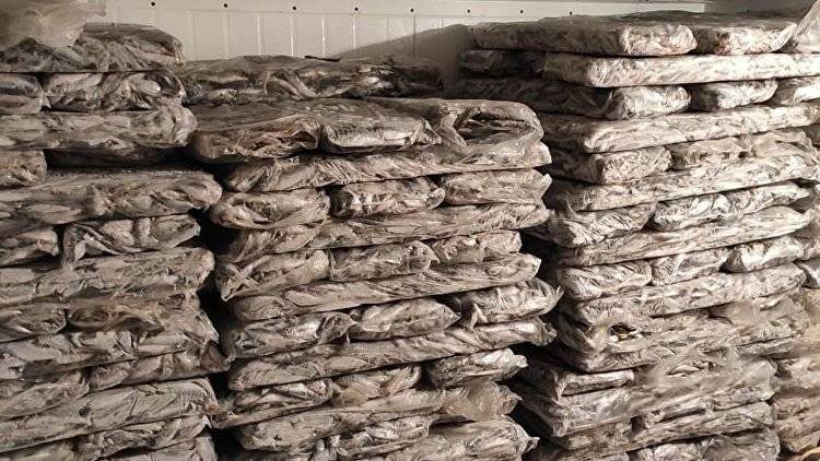 В Керчи у бизнесмена изъяли 5 тонн сомнительных морепродуктов