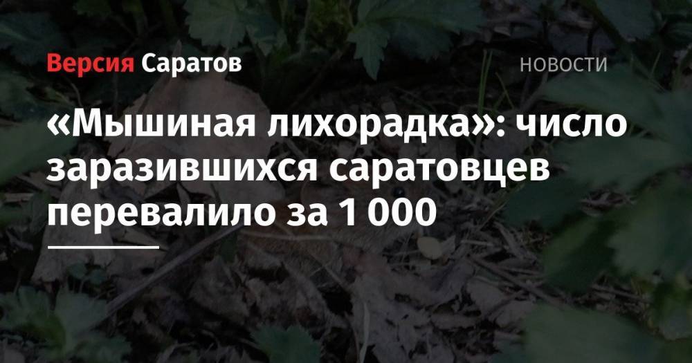 «Мышиная лихорадка»: число заразившихся саратовцев перевалило за 1000