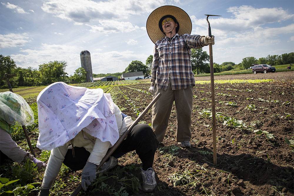 Власти США заплатят $16 млрд фермерам, которые пострадали от торговых войн с Китаем