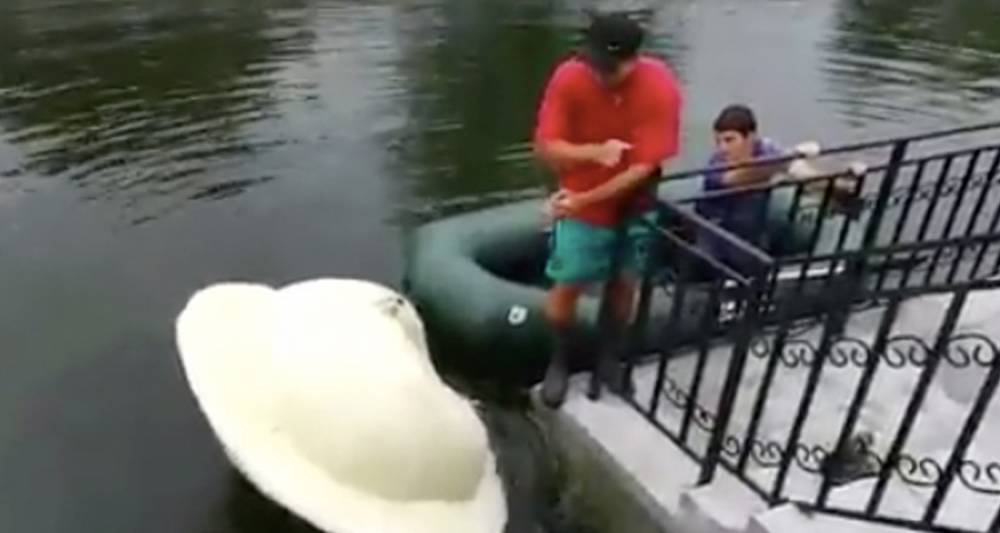 В парке Благовещенска выловили из озера 10-килограммовый пельмень
