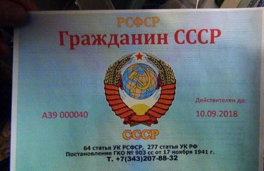 В России задержали несколько десятков членов организации «Домой в СССР», планировавших захват административных зданий