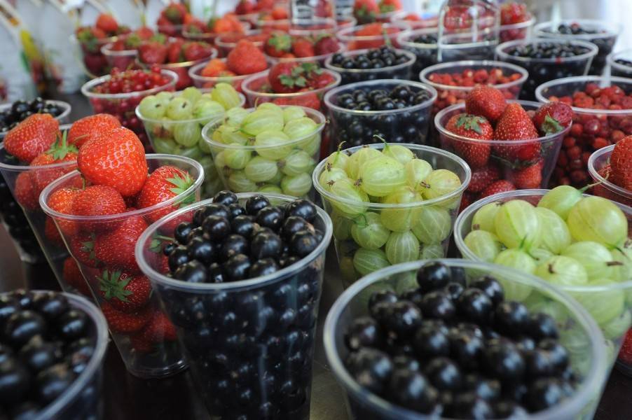 Госдума снизила НДС на продажу фруктов и ягод