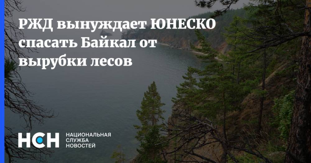 Вырубка леса у Байкала подарит озеру нелестный статус от ЮНЕСКО