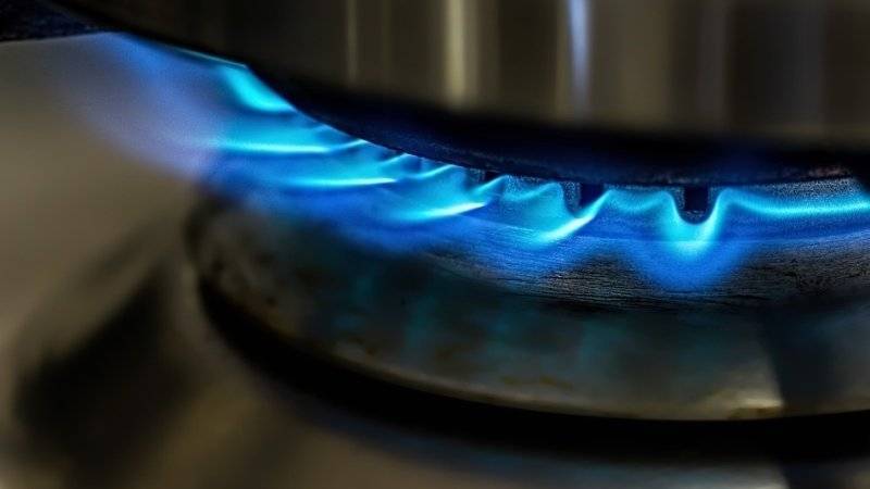 Крупнейшие газовые компании на Украине заподозрили в монополии
