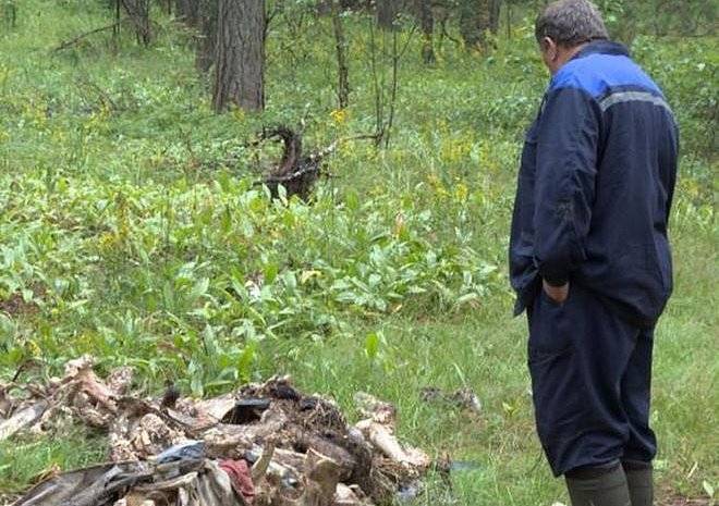Россельхознадзор обязал власти убрать останки животных из солотчинского леса