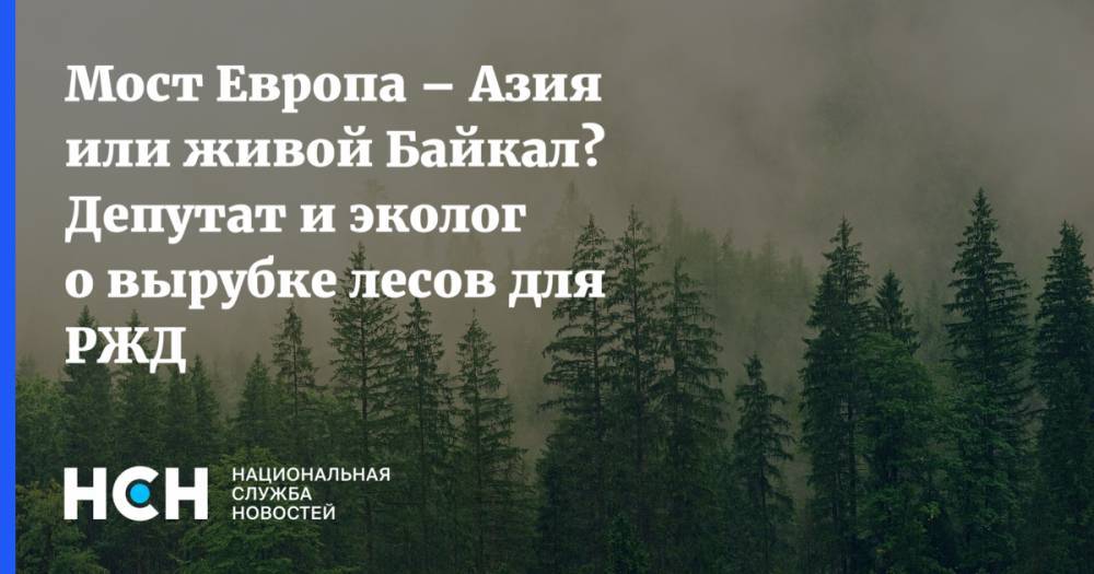Мост Европа – Азия или живой Байкал? Депутат и эколог о вырубке лесов для РЖД