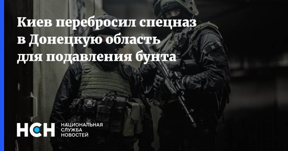Киев перебросил спецназ в Донецкую область для подавления бунта