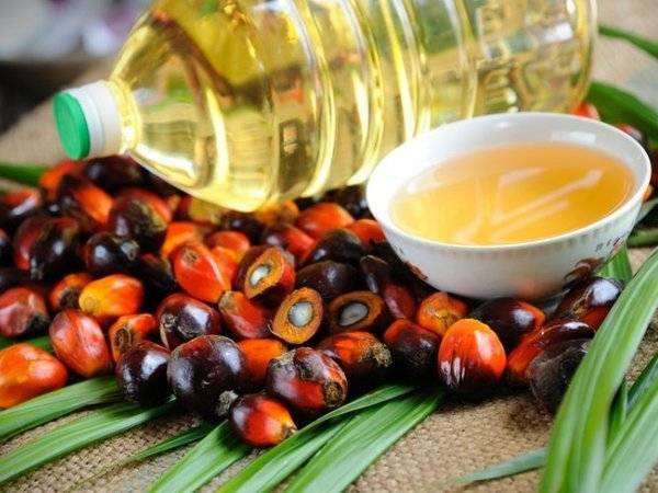 Госдума повысила НДС на пальмовое масло в два раза