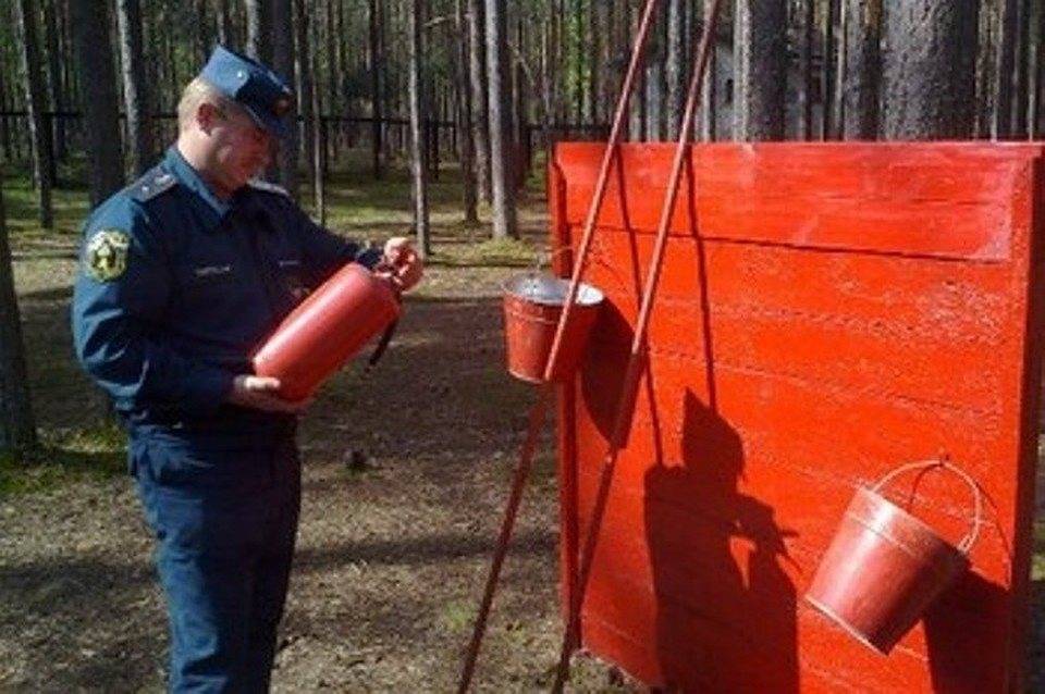 Все ульяновские детские оздоровительные лагеря вновь проверят на пожарную безопасность