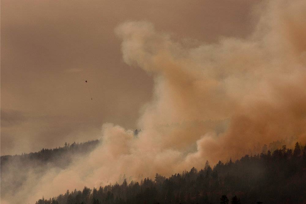 В России горят десятки тысяч гектаров леса