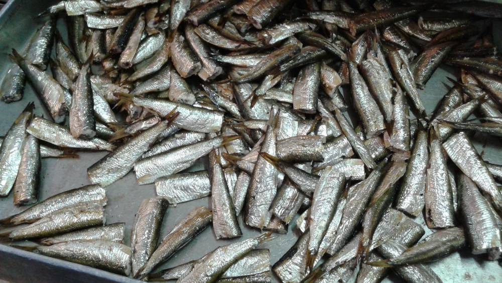 Латвийски рыбный бизнес «отжимают» под покровительством Порошенко
