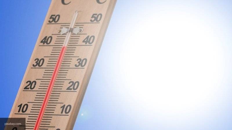 Аномальная жара побила температурный рекорд Германии и превысила 40 градусов