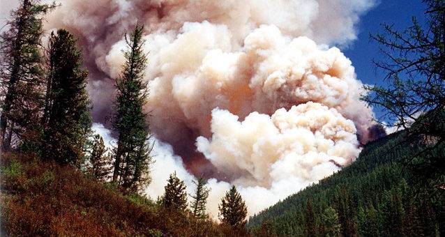 В Сибири горит миллион гектаров леса. Пожары никто не тушит — денег нет.