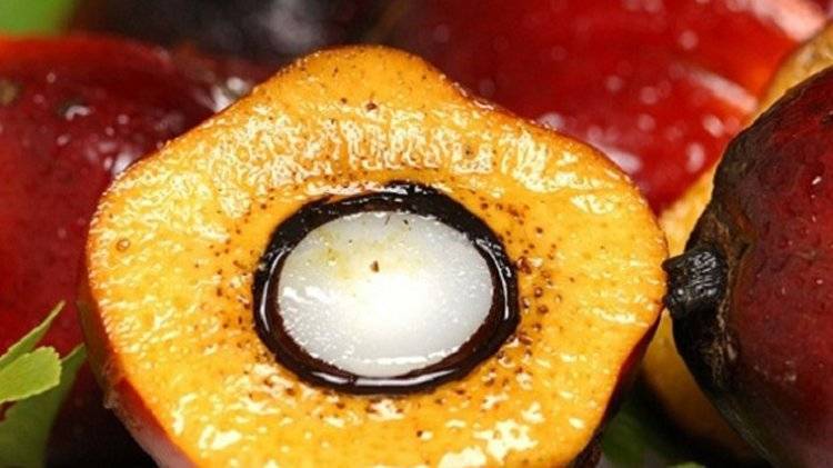 Госдума приняла закон об изменении НДС на пальмовое масло и плодово-ягодную продукцию