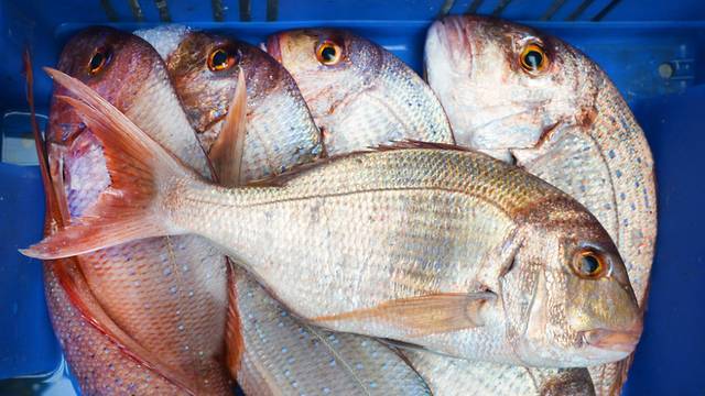 В Израиле разрешили продавать неправильно замороженную китайскую рыбу: кто пострадал