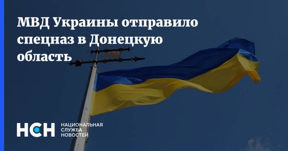 МВД Украины отправило спецназ в Донецкую область