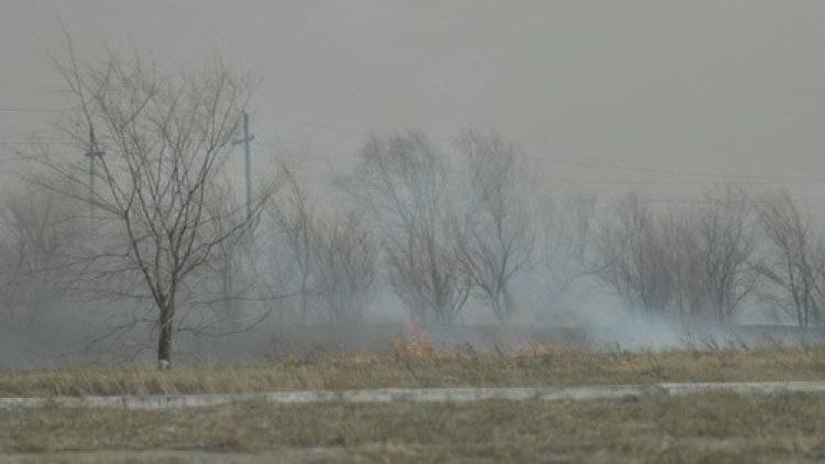 Крупный лесной пожар возник на западе Москвы