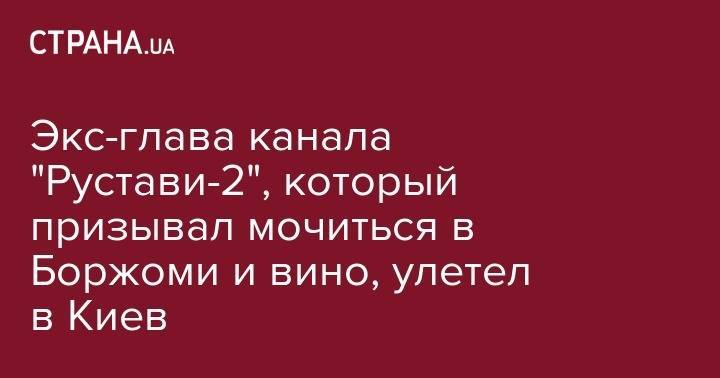 Экс-глава канала "Рустави-2", который призывал мочиться в Боржоми и вино, улетел в Киев