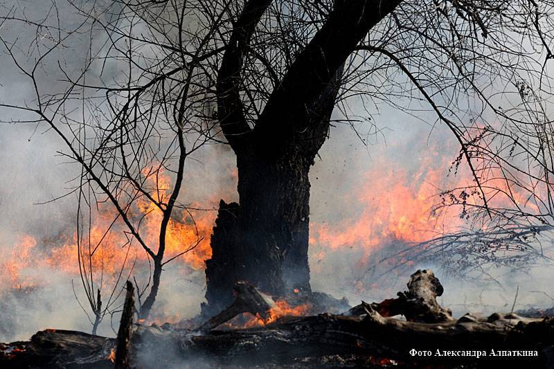 Специалисты подтвердили, что причиной «дымки» в Кургане стали сибирские пожары