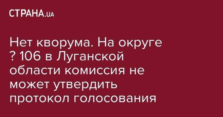 Нет кворума. На округе № 106&nbsp;в Луганской области комиссия не может утвердить протокол голосования