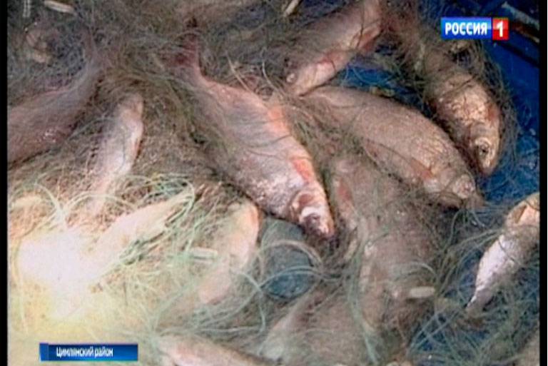 Ущерб в 1,5 млн рублей: на берегу Таганрогского залива изъяли незаконно добытую рыбу