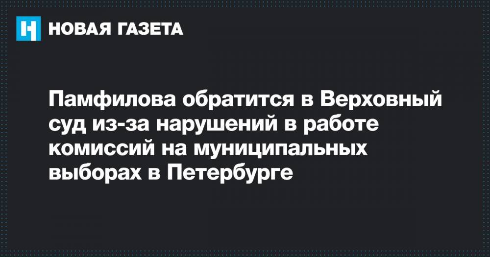 Памфилова&nbsp;обратится в Верховный суд из-за нарушений в работе комиссий на муниципальных выборах в Петербурге