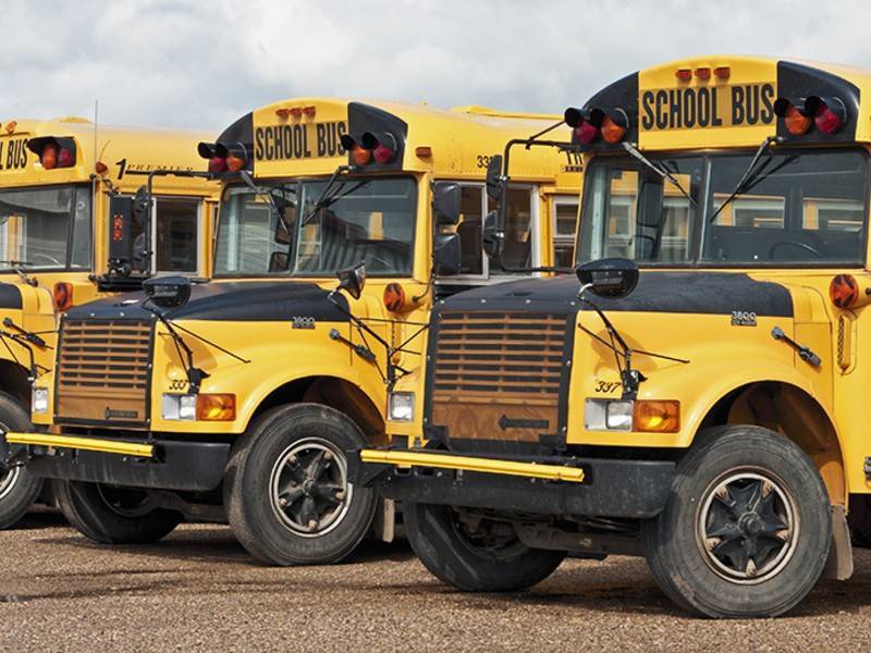 ДТП со школьными автобусами произошло в Канаде