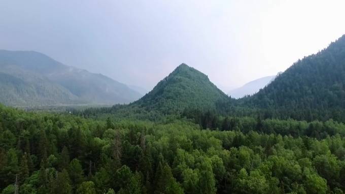 Минприроды может разрешить РЖД вырубить 8-10 тысяч га леса на Байкале