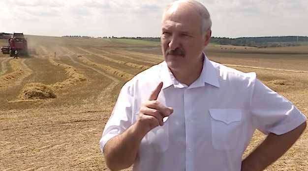 "Устроили посмешище". Как Лукашенко помогает "уродливой" системе