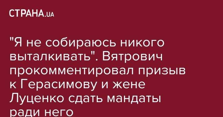 "Я не собираюсь никого выталкивать". Вятрович прокомментировал призыв к Герасимову и жене Луценко сдать мандаты ради него