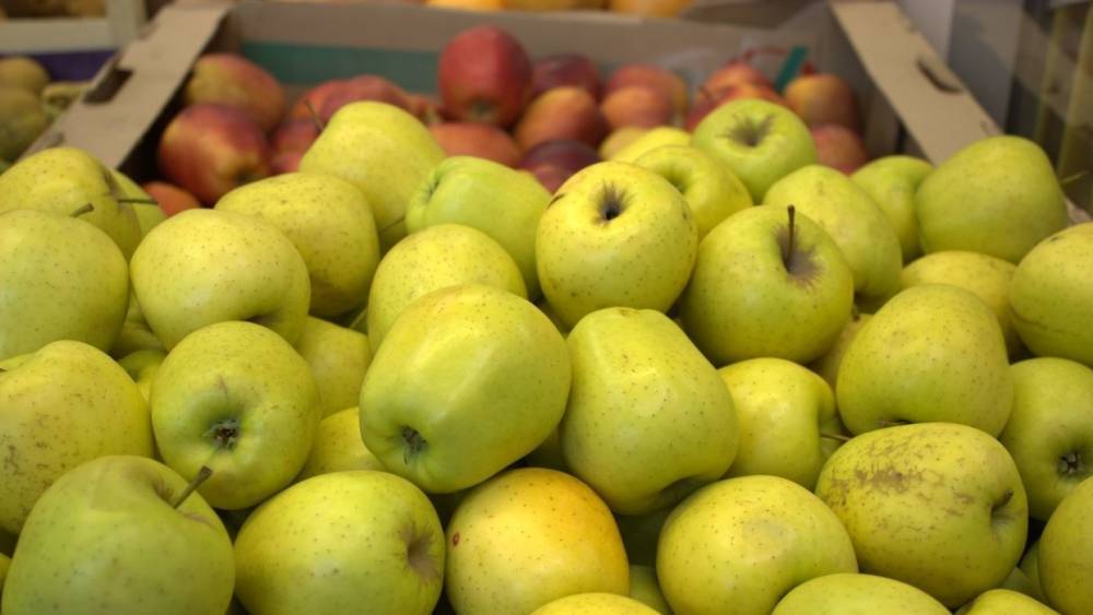 Россельхознадзор снял запрет на поставки белорусских яблок
