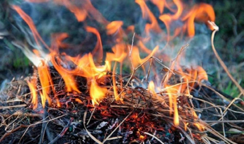 В Зауралье сохранится чрезвычайный 5 класс пожароопасности