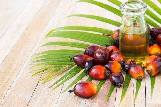 В Госдуме приняли поправки в отношении пальмового масла