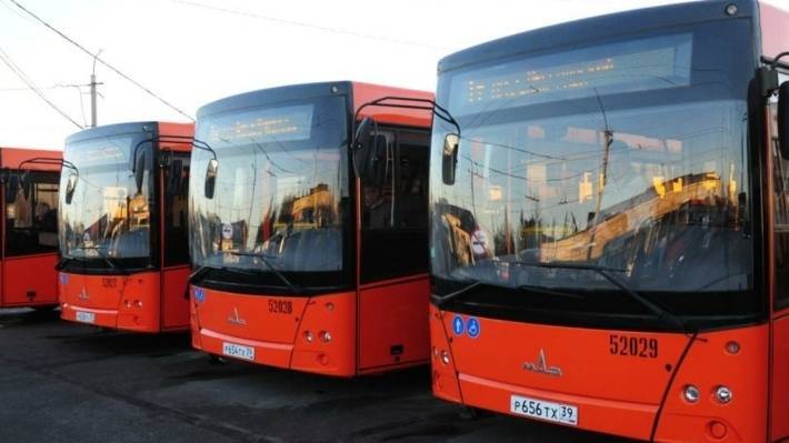 Междугородние автобусы предложили оснастить ремнями безопасности для детей до пяти лет