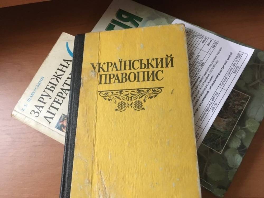 Глава «Слуги народа» допустил расширение права на русский язык в Донбассе