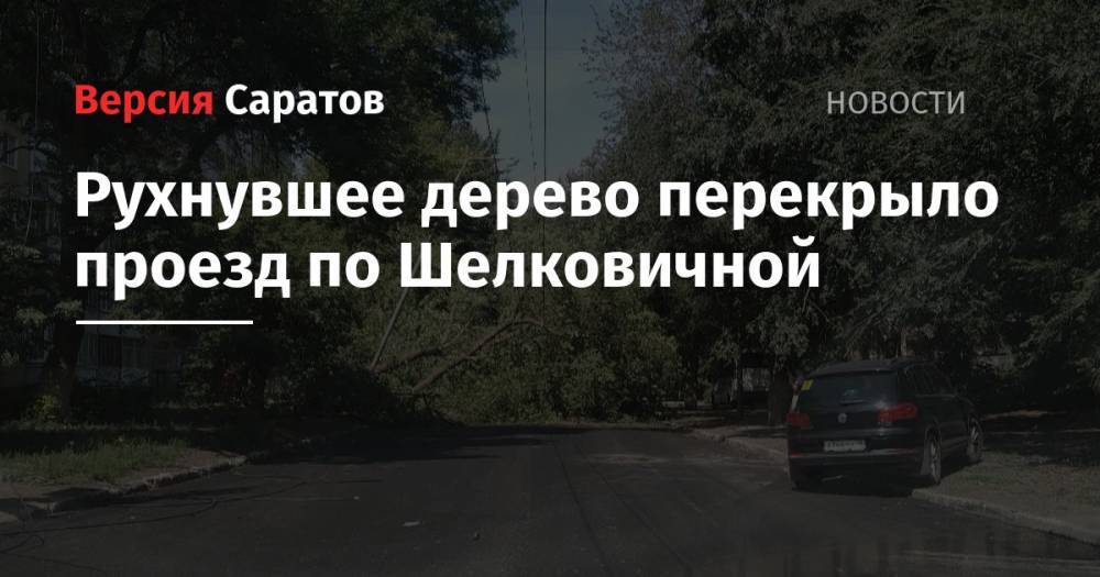 Рухнувшее дерево перекрыло проезд по Шелковичной