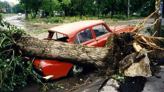 Как наказать коммунальщиков за упавшее на машину дерево: разъяснения ВС РФ
