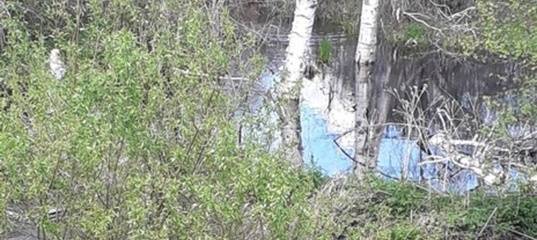 Исчезли водоплавающие птицы и рыба: в Тюменской области река "погибла" из-за сброса канализационных стоков