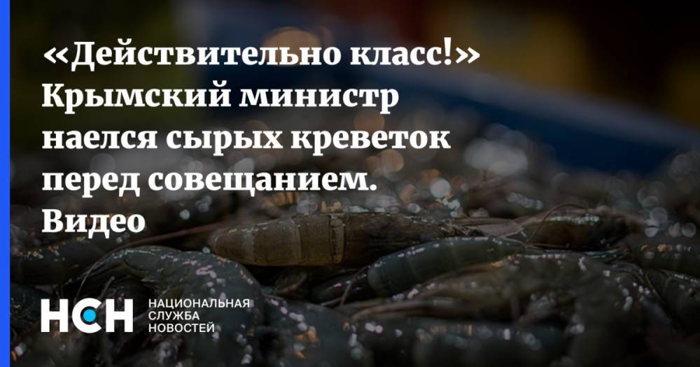 «Действительно класс!» Крымский министр наелся сырых креветок перед совещанием. Видео