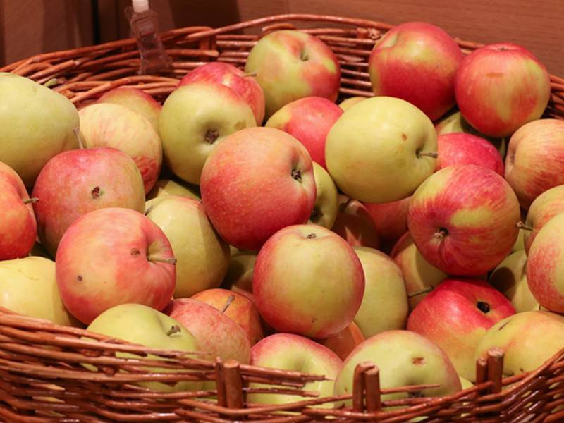 Учёные обнаружили внутри яблока 100 млн бактерий