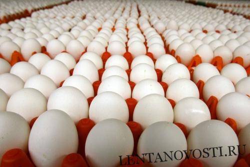 Бурятская птицефабрика обеспечит яйцами Монголию