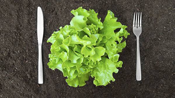 Эксперт рассказала о пользе листьев салата с горьким привкусом — Информационное Агентство "365 дней"