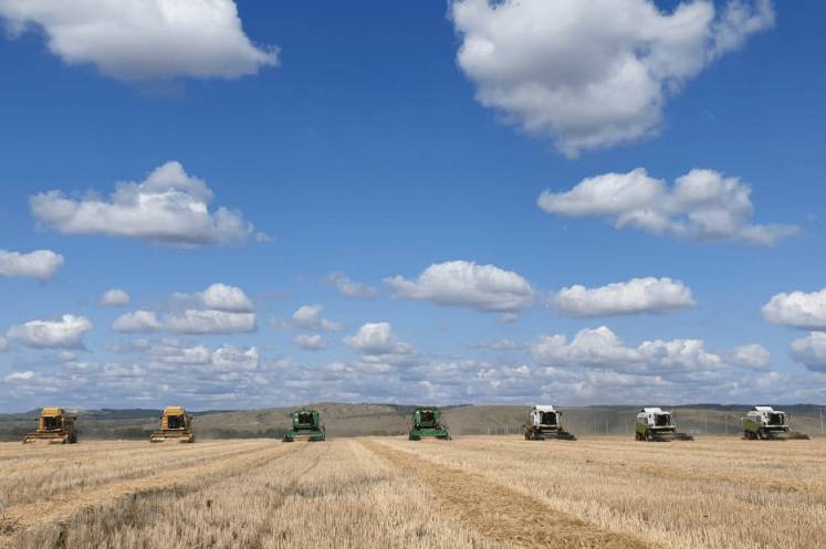 В Башкирии в этом году урожай зерновых ожидается на уровне 3 миллионов тонн // ЭКОНОМИКА|ДЕНЬГИ | новости башинформ.рф