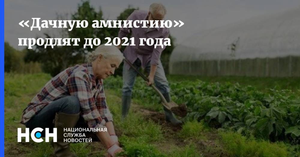 «Дачную амнистию» продлят до 2021 года