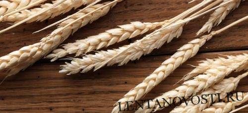 Пшеница в США и Европе падает вторую неделю подряд