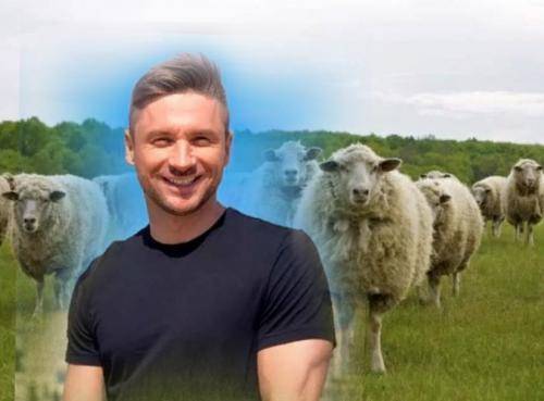 В России – овцы, в Европе – культура? Лазарев «разнес» российских поклонников