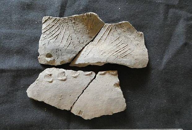 Российские археологи обнаружили керамику неизвестной культуры в Эквадоре