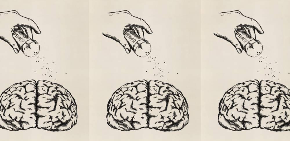 Раскрыта взаимосвязь между чувством вкуса и работой мозга