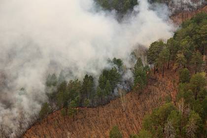Дым от горящих российских лесов дошел до Казахстана